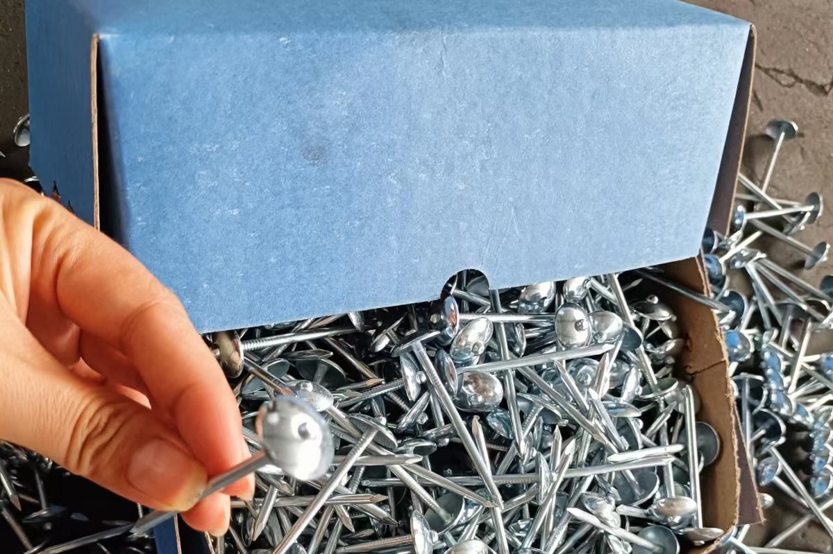 Corrugated Roofing Nails
